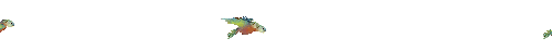 animated parrots flying across the screen